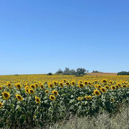 شقة Vineyard Aheloy - Muscat-6 Kableshkovo (Burgas)