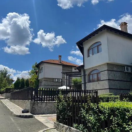 Vineyard Aheloy - Muscat-6 *