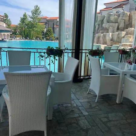 Vineyard Aheloy - Muscat-6 * Kableshkovo (Burgas)