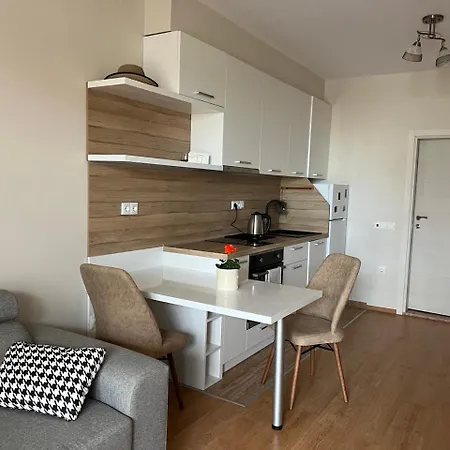 Vineyard Aheloy - Muscat-6